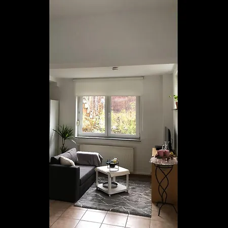 Neu! Rheingau Appartement *