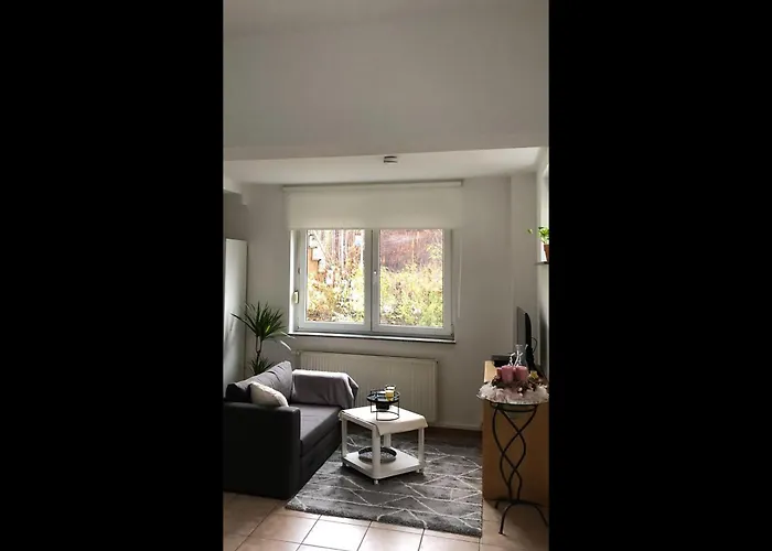 Neu! Rheingau Apartman *