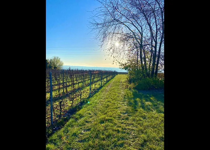 Neu! Rheingau Apartman *